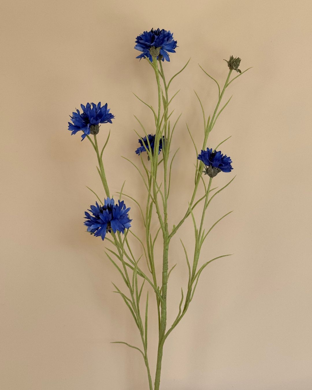 Cornflower - Blå - 92 cm