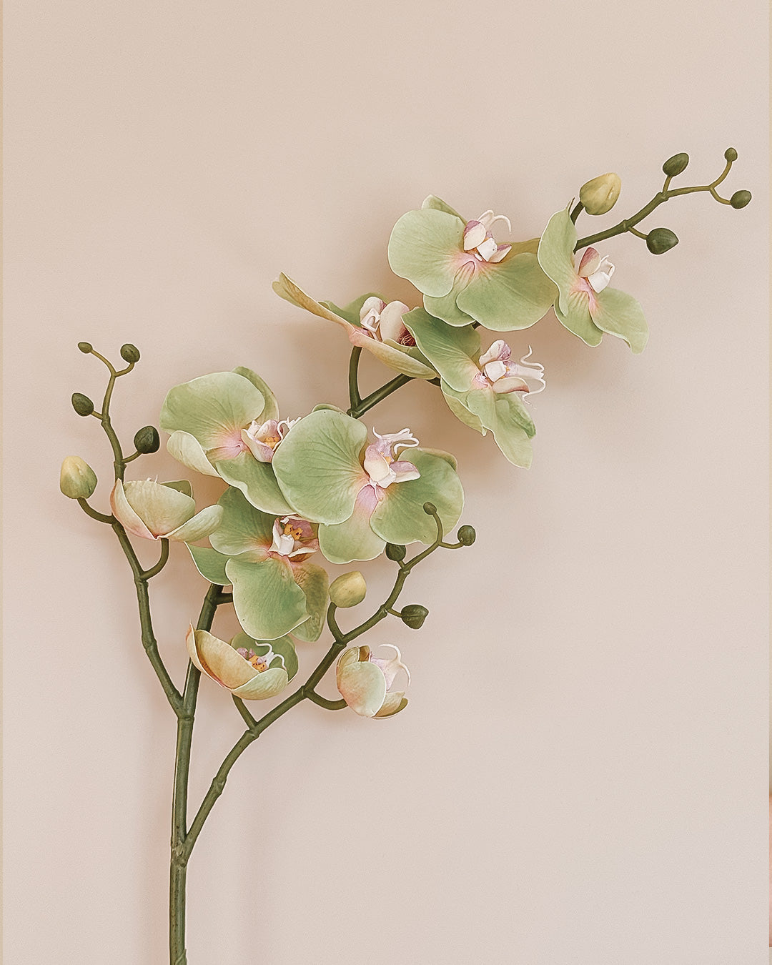 Grøn Orkide - 89 cm
