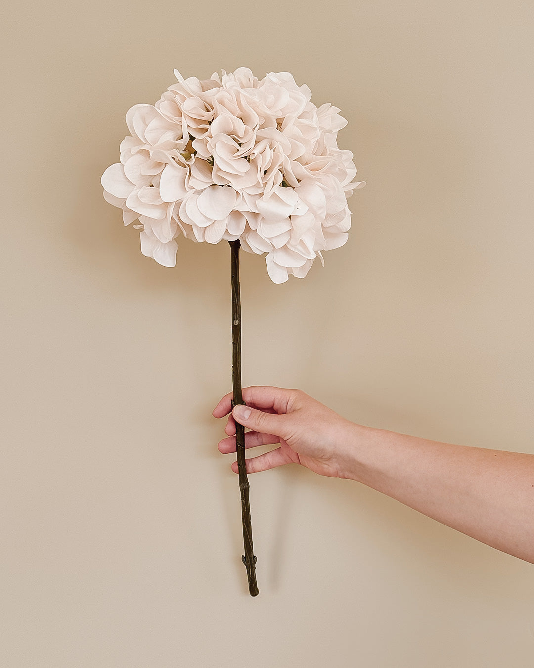 Hortensia - Creme - 50 cm