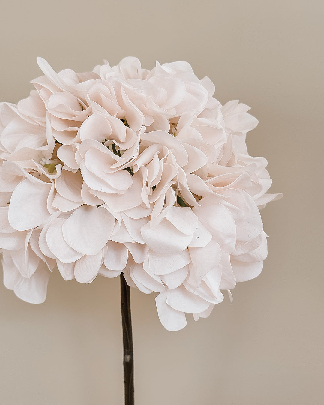 Hortensia - Creme - 50 cm