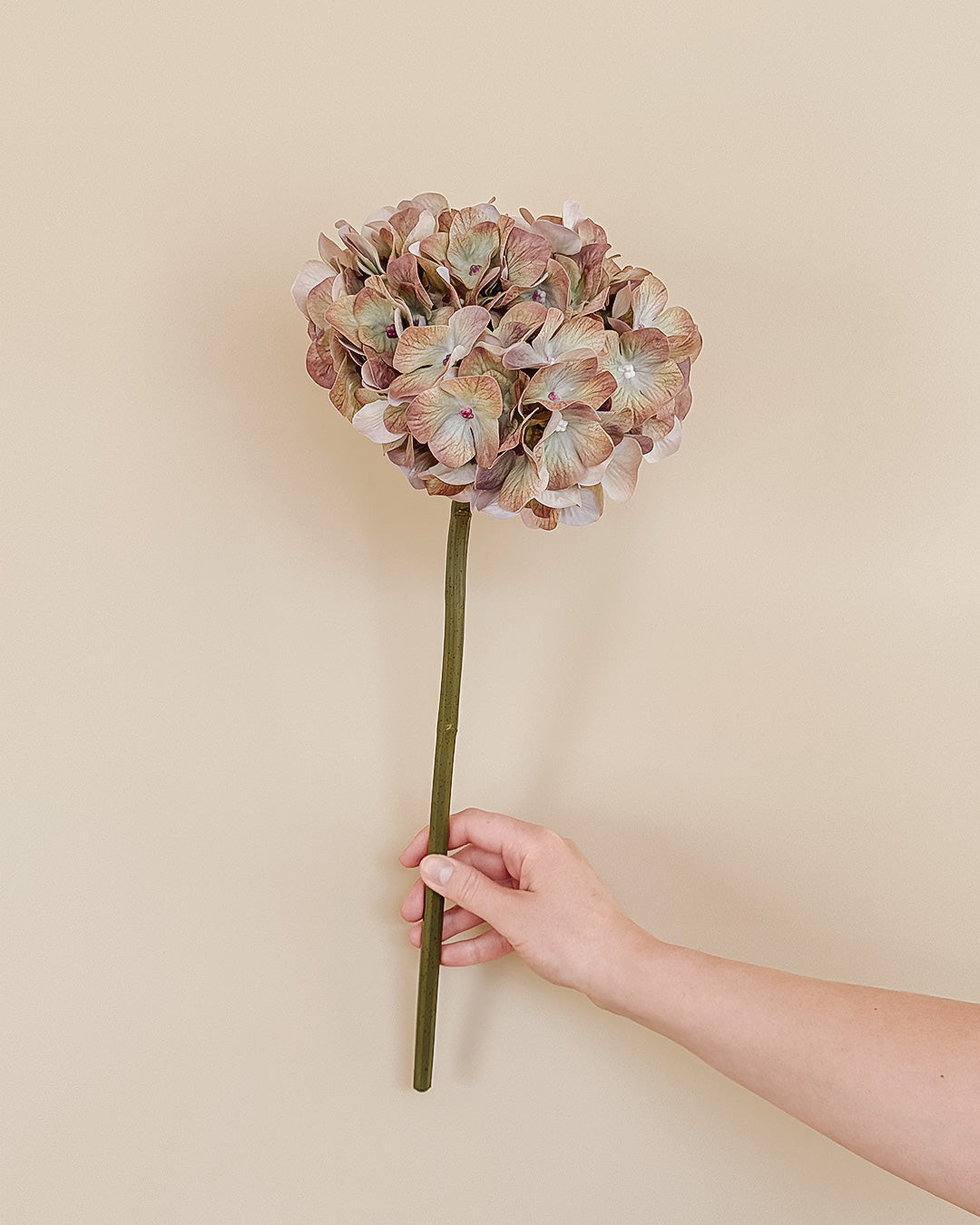 Hortensia - Grøn/Lilla - 50 cm