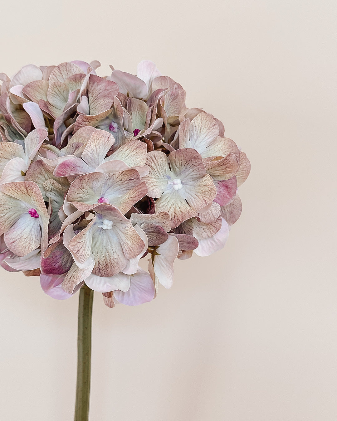 Hortensia - Grøn/Lilla - 50 cm