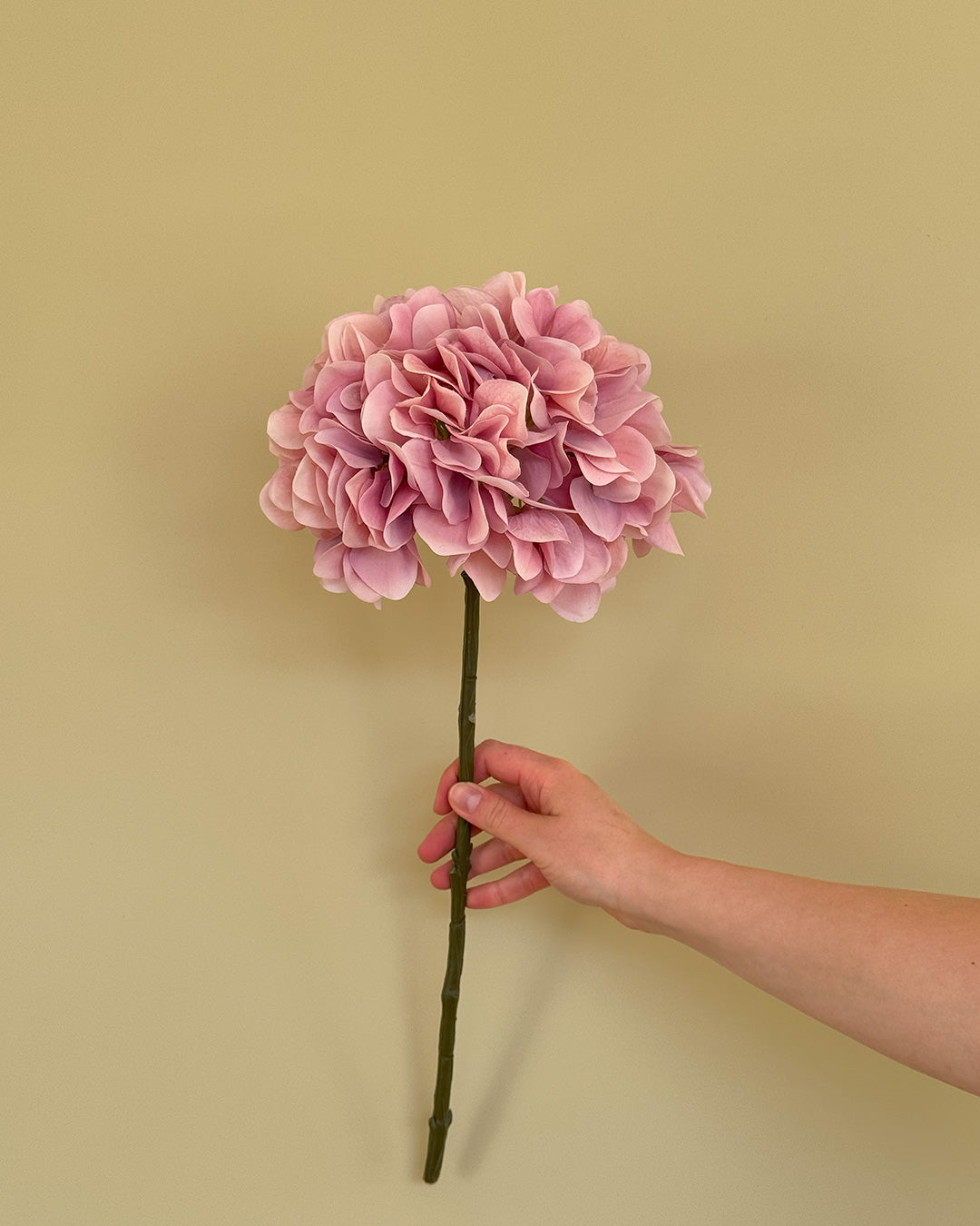 Hortensia - Lyserød - 50 cm