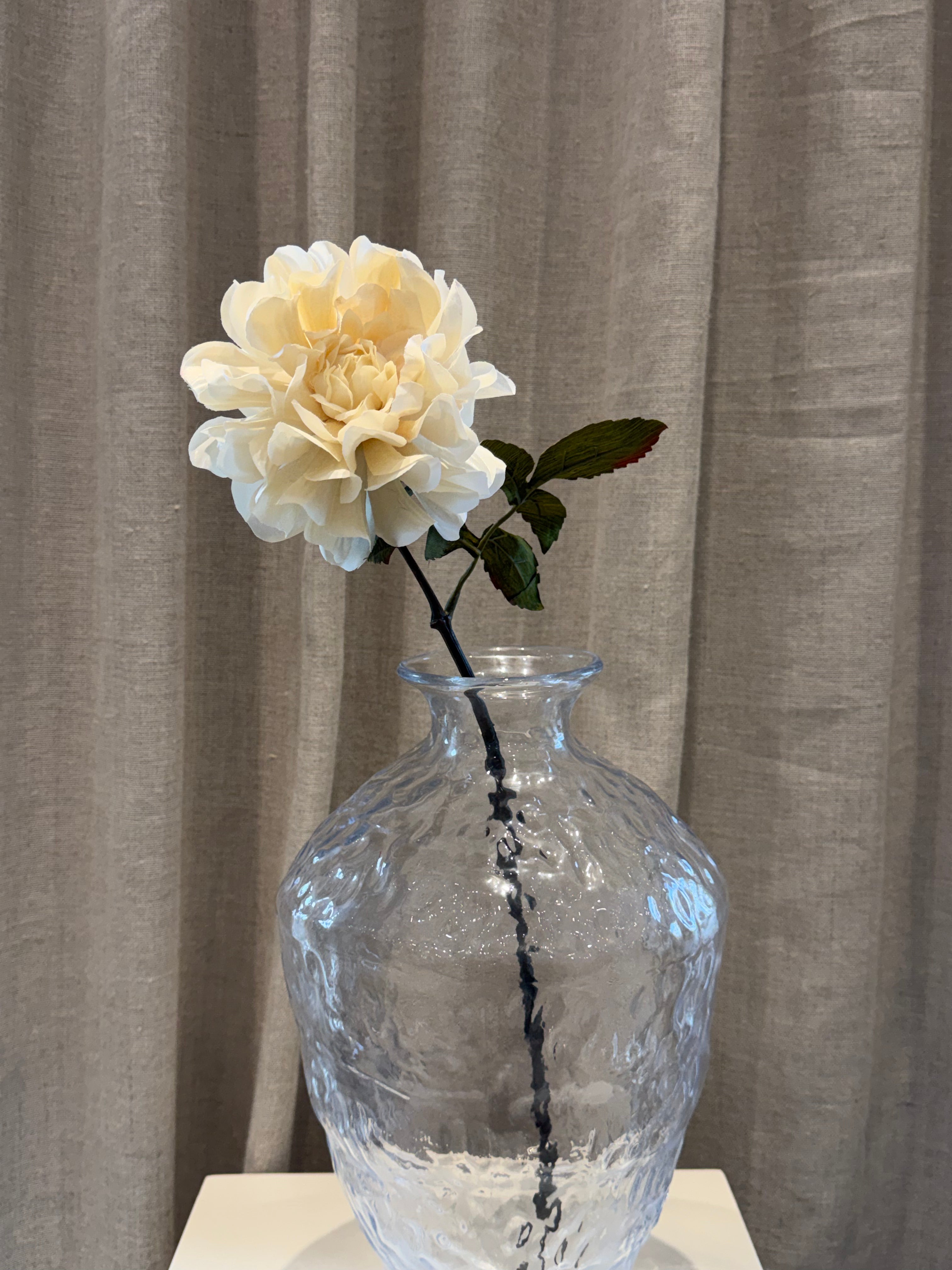 Dahlia Creme 57cm