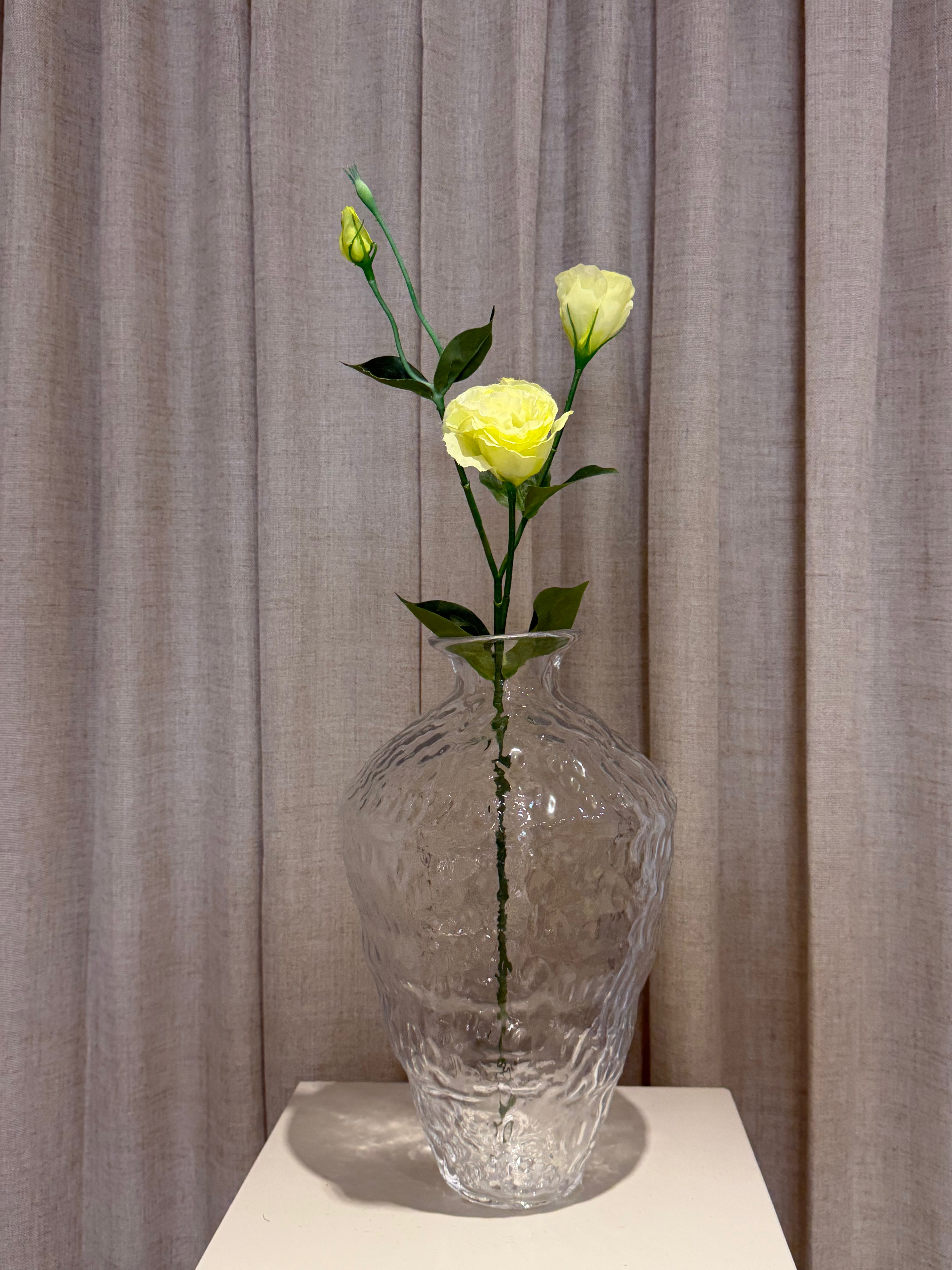Prærieklokke 68cm