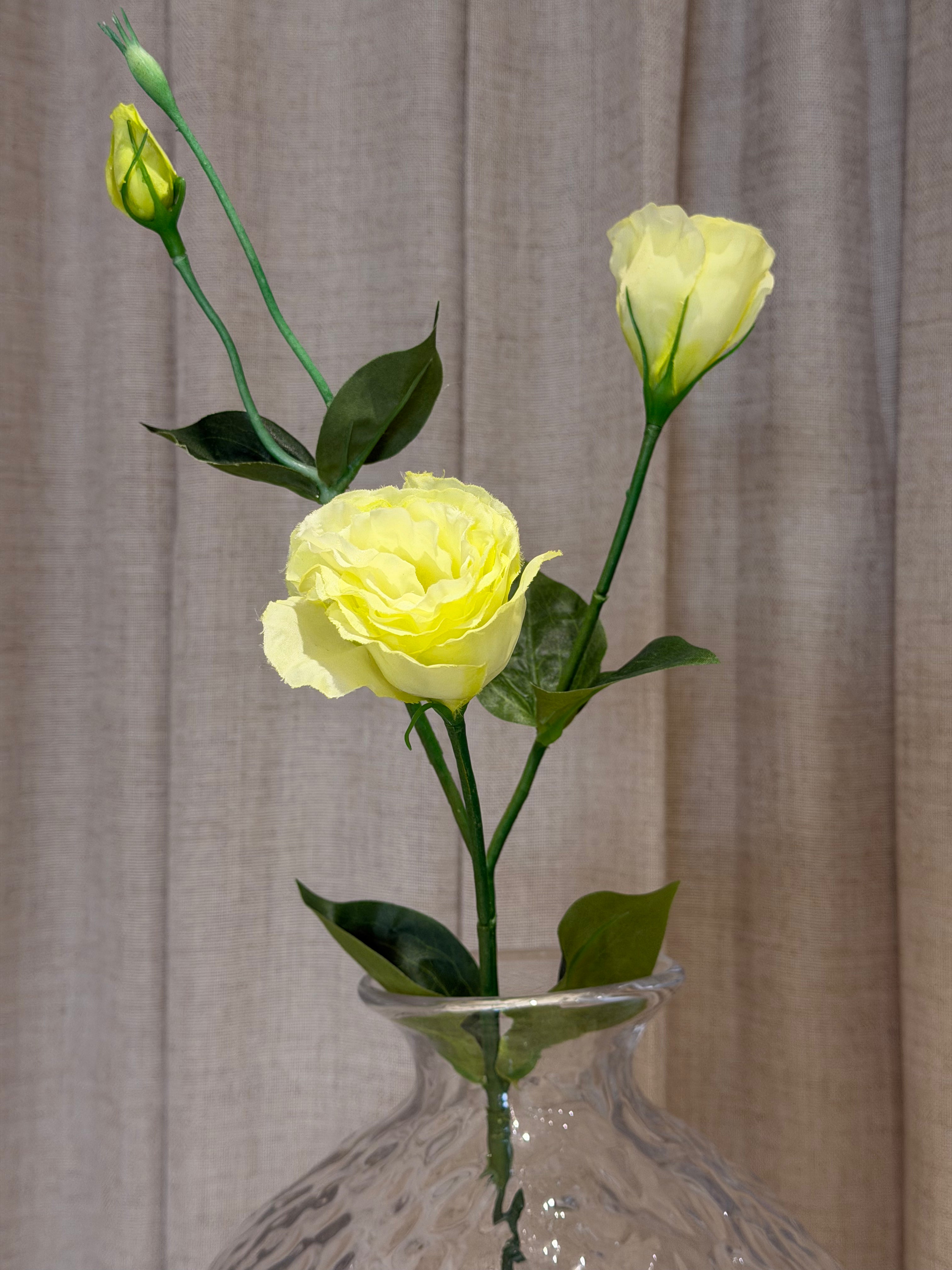 Prærieklokke 68cm