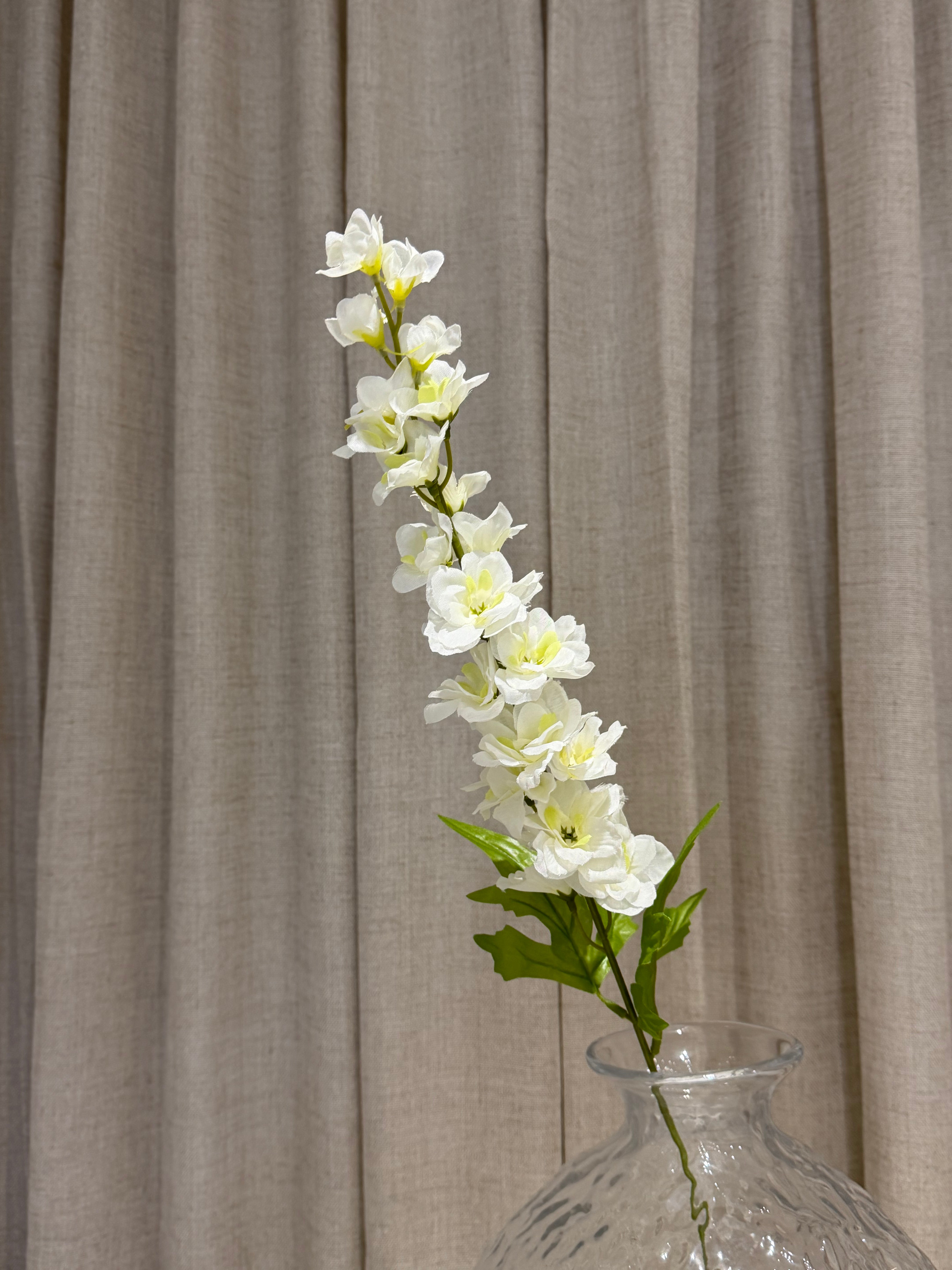 Ridderspore 80cm