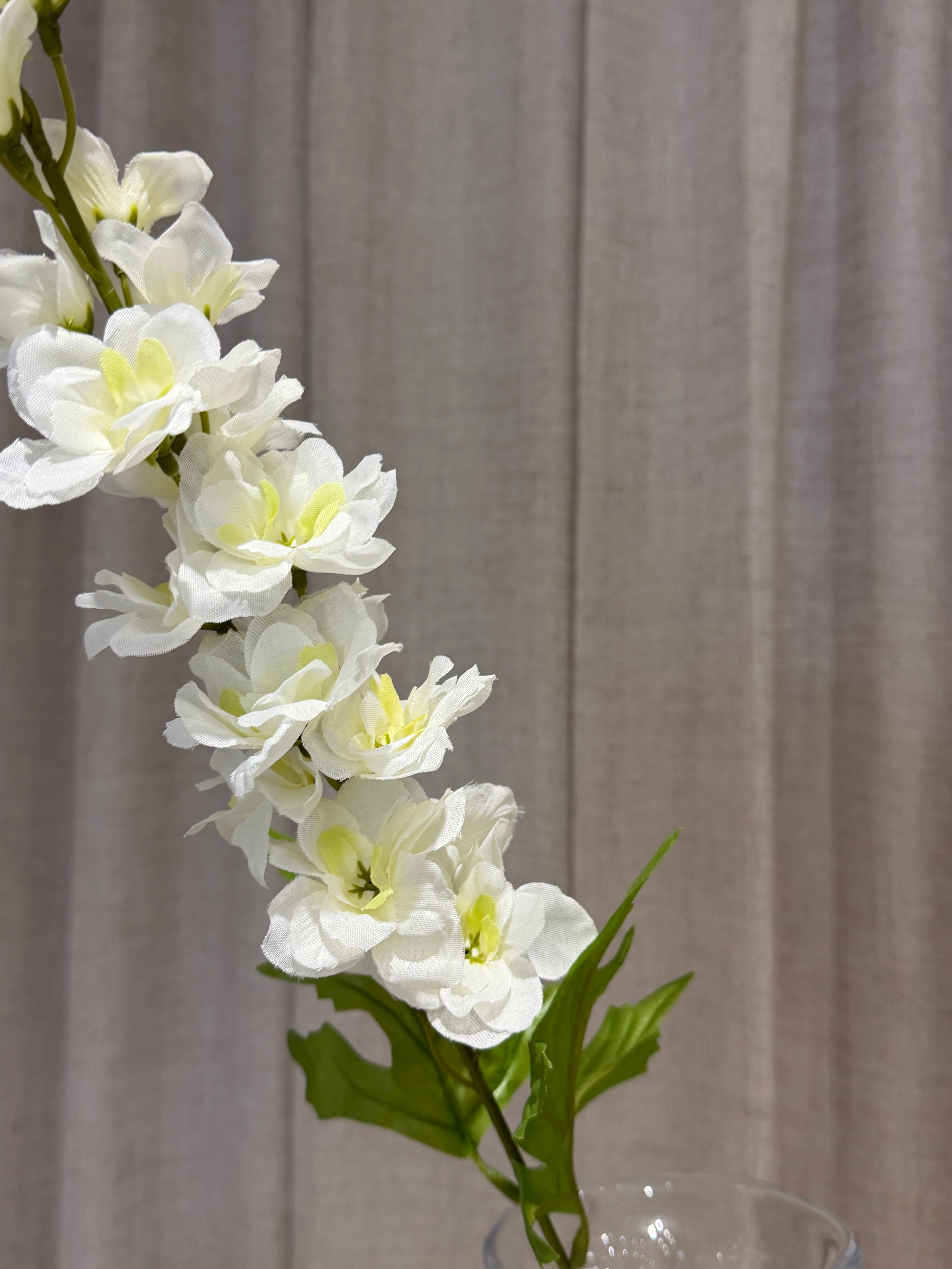 Ridderspore 80cm